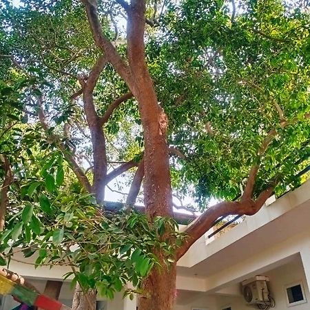 Green Hub Pushkar Vila Exterior foto