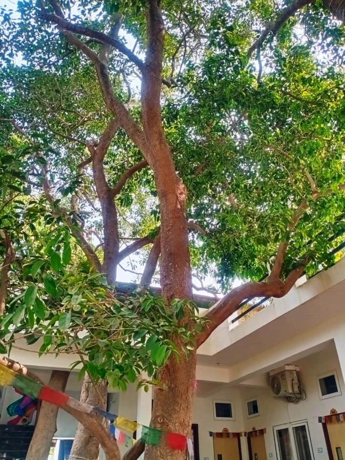 Green Hub Pushkar Vila Exterior foto